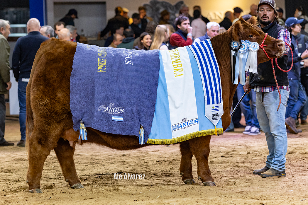 1-GCH-SUPREMA-OT26 1-GCH-SUPREMA-OT26
