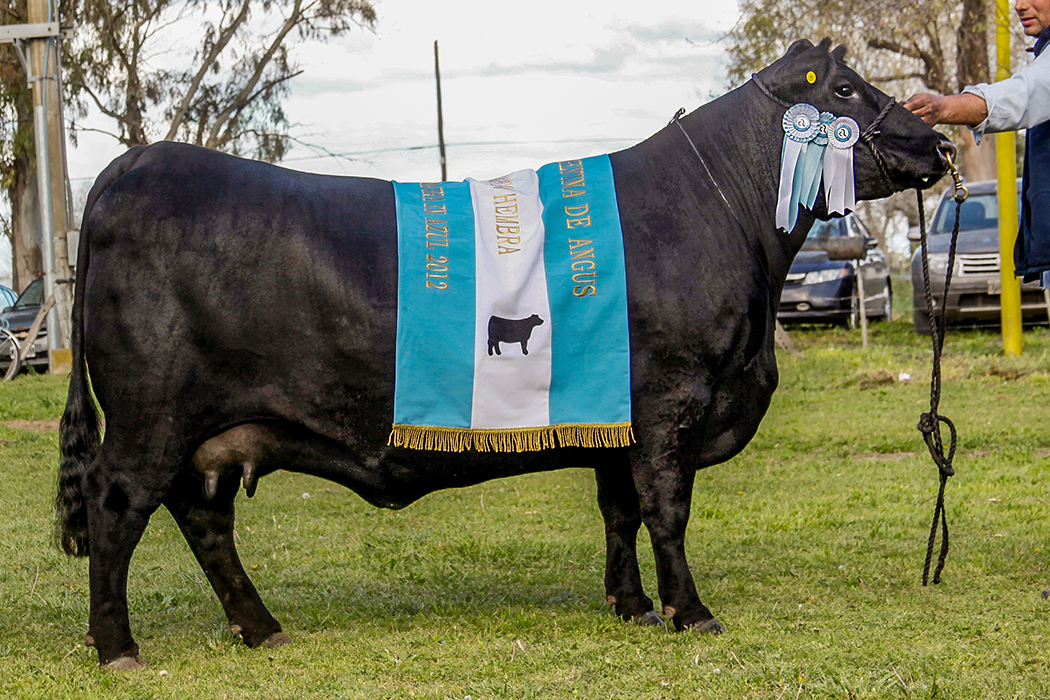 5876 GCH NAC2012 sola