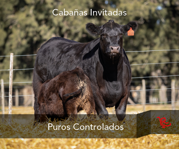 cabañas_invitadas