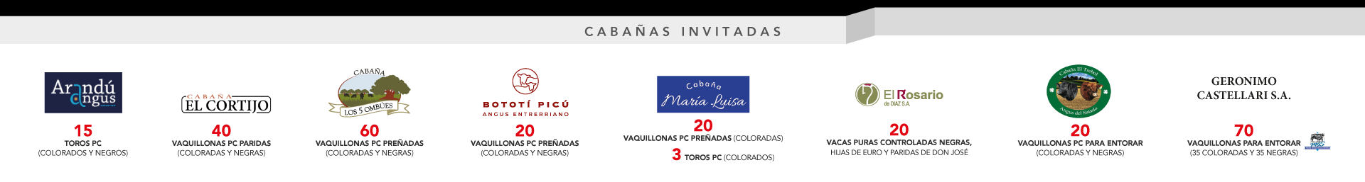 zocalo-invitadas