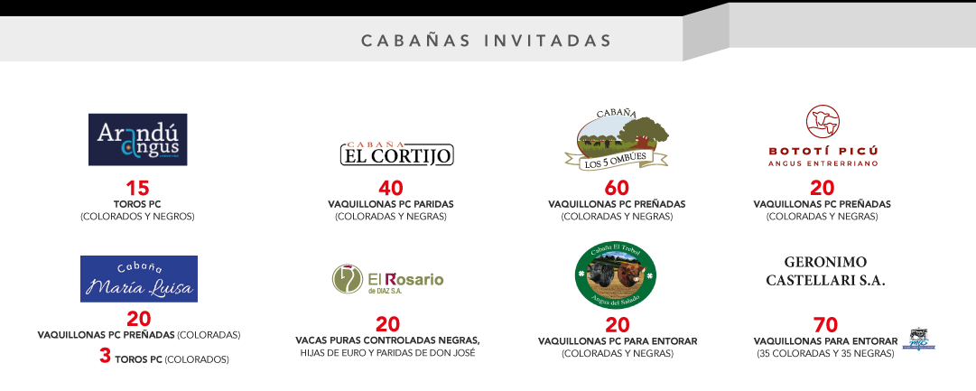 zocalo-invitadas-celu