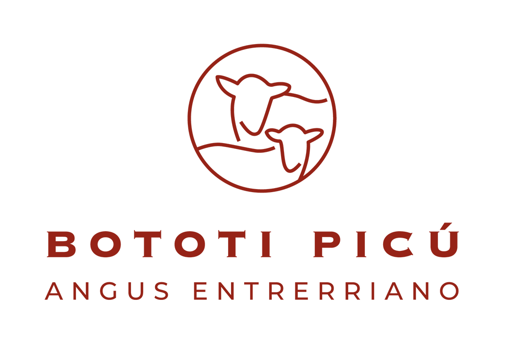 Bototi-Logo-2021-05